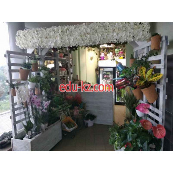 Доставка цветов и букетов Green-flowers - на портале beautyby.su
