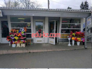 Магазин цветов Пассифлора - на портале beautyby.su