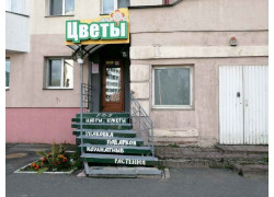 Маргаритка