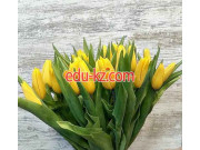 Магазин цветов Gvozdika.by цветочный дискаунтер - на портале beautyby.su
