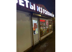 Цветы из Голландии