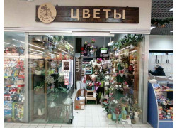 Цветы Lilium