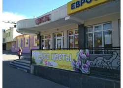 Евроцветы
