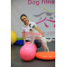 Фитнес-клуб Dog Fitness Club Минск - на портале beautyby.su