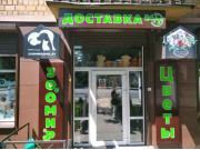 Жасминка Жасминка