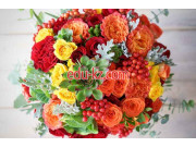 Доставка цветов и букетов Оранжевый кот - на портале beautyby.su