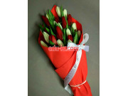 Цветочный рынок Тюльпаны оптом - на портале beautyby.su