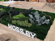 Moss.by