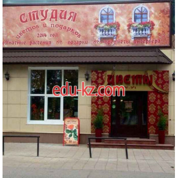 Доставка цветов и букетов Студия Цветов и Подарков - на портале beautyby.su