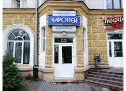 Чародей