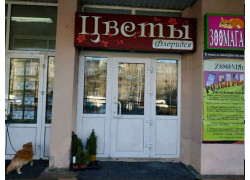 Флоридея