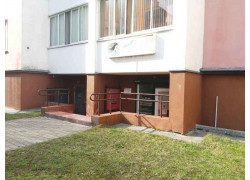 Танита