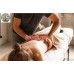 Массажный салон Студия массажа 53 - на портале beautyby.su