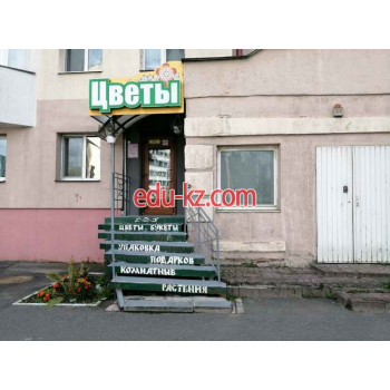 Доставка цветов и букетов Маргаритка - на портале beautyby.su