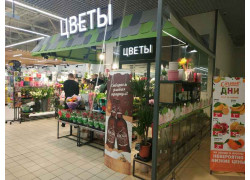 Цветы в Евроопт