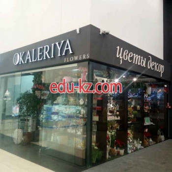 Магазин цветов Kaleriya flowers - на портале beautyby.su