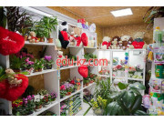 Доставка цветов и букетов Флора - на портале beautyby.su