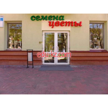 Магазин цветов Семена, цветы - на портале beautyby.su